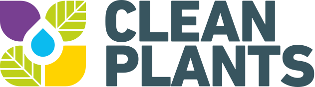 Clean Plants